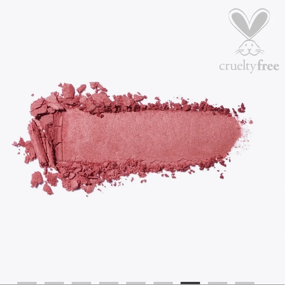 🌺 ICONIC LONDON BLAZE CHASER FACE PALETTE